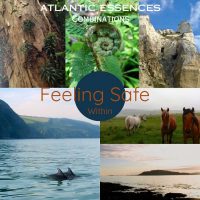 Feeling Safe Within - Spray