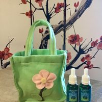 Gift Set: "Belonging Within" & "Feeling Safe Within" combinations